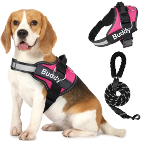 Pet Clothing Dog Couple Chest Strap Rope (Option: Pink-M)