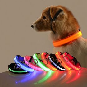 Glow-In-The-Dark Pet Collar For Dog & Cat; LED Dog Collar For Night Walking; USB charging (Color: White, Size: XS)