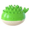 Pets Supplies Factory Amazon Hot Summer Electric Water Floating Swimming Pet Bathing Water Spray Dog Toy